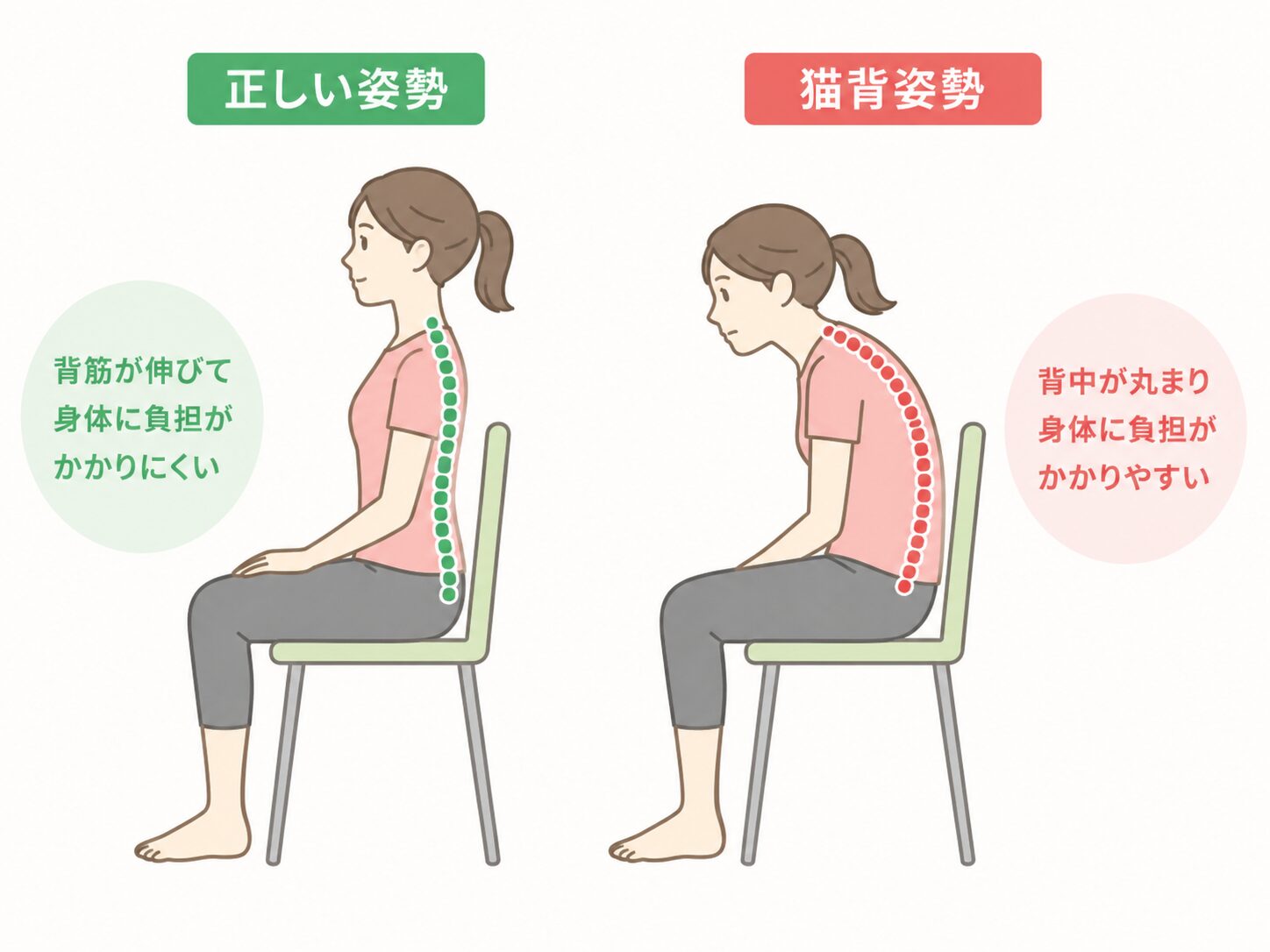猫背と正しい姿勢の比較