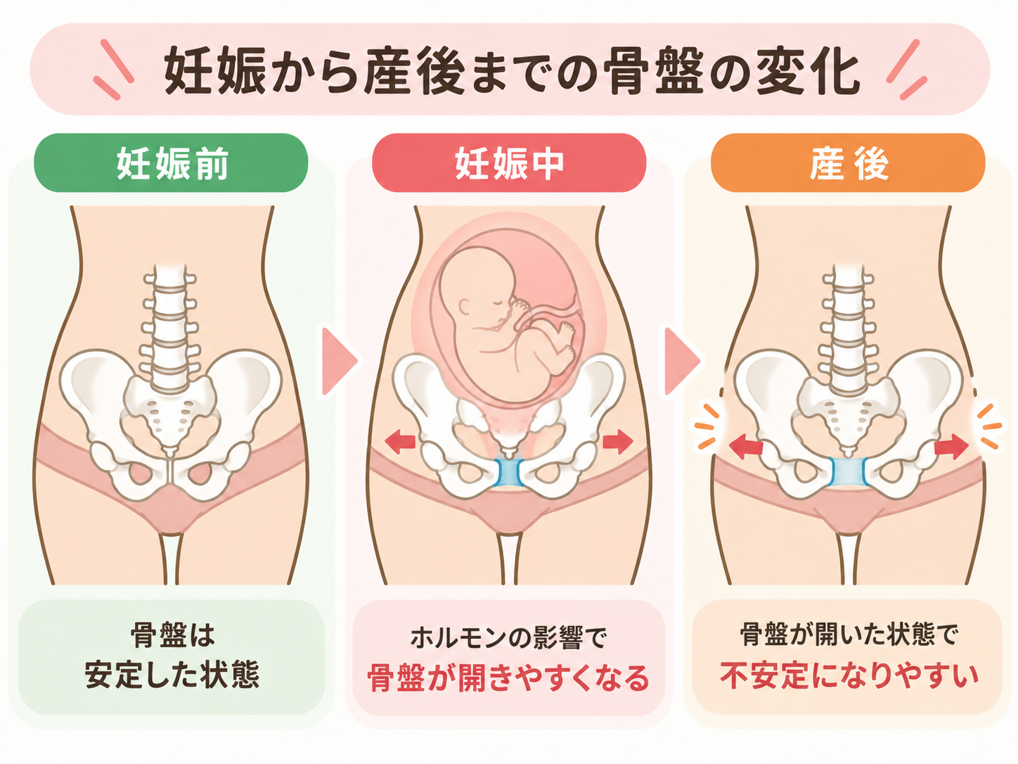 妊娠から産後までの骨盤の変化|大津市堅田